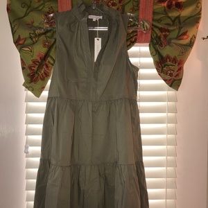 Olivaceous olive colored dress
